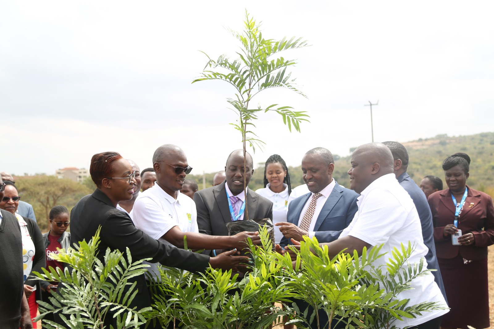 AA Kenya donates 1,000 tree seedlings to Daystar University